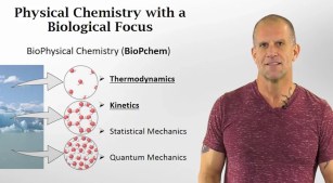 Video_Screenshot_Yarger