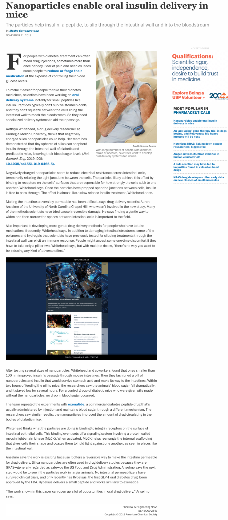 Insulin_Oral_Delivery_NP.png